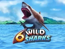 ฉลามป่า 6 ตัว game cover